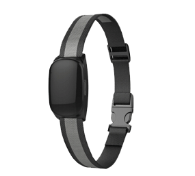 Petgps11