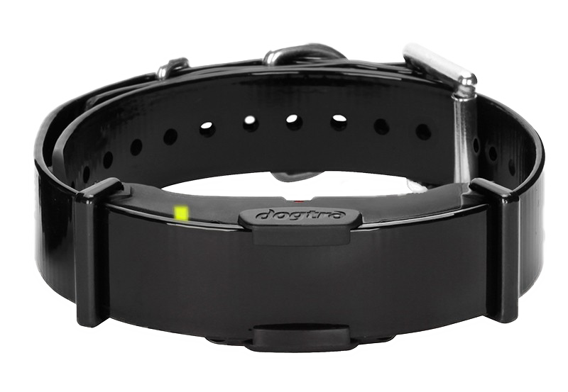 Arc800collar